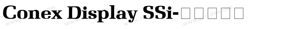Conex Display SSi字体转换